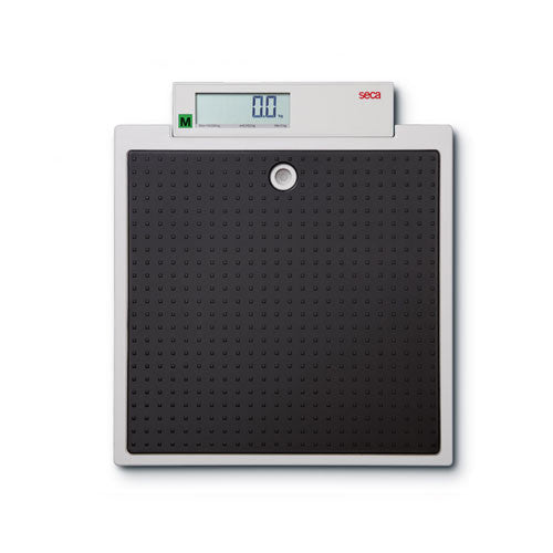 seca 875 Flat Scales